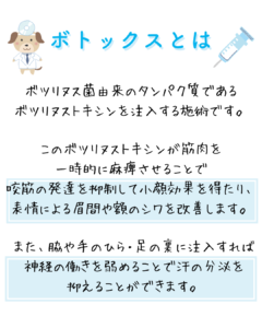 ボトックスとは